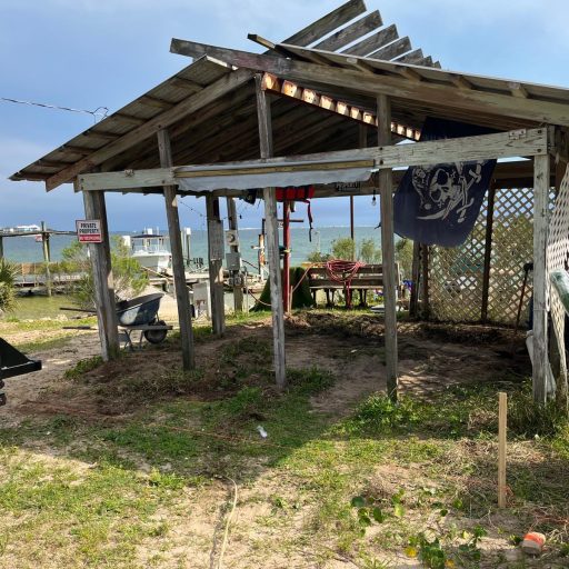 WhatsApp Image 2026-03-01 at 23.33.157