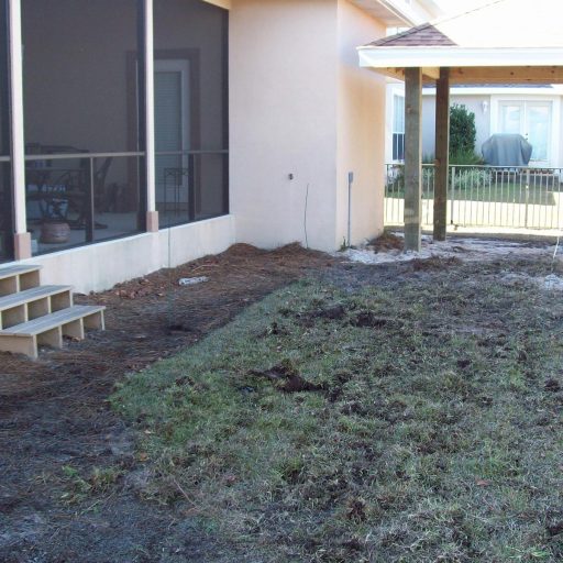 WhatsApp Image 2026-03-01 at 23.33.165