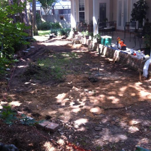 WhatsApp Image 2026-03-01 at 23.33.167